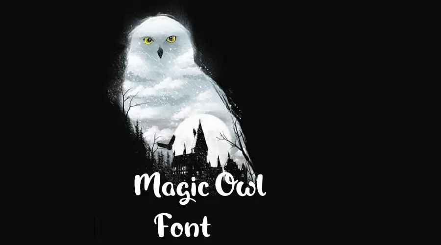 Magic Owl Font